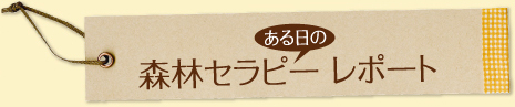 ある日の 森林セラピー レポート